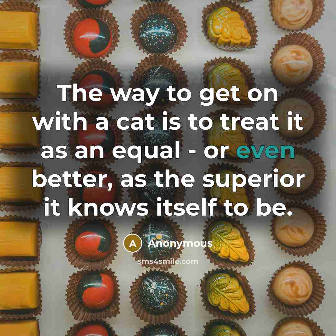 “The way to get on with a cat is to…” quote by Anonymous