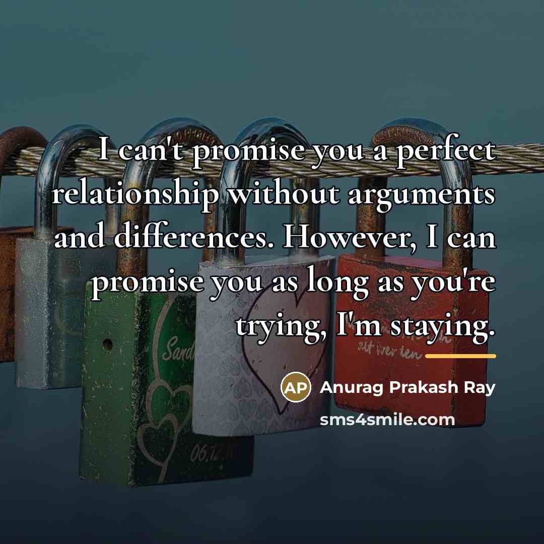 “I can't promise you a perfect relationship without arguments and…” quote by Anurag Prakash Ray
