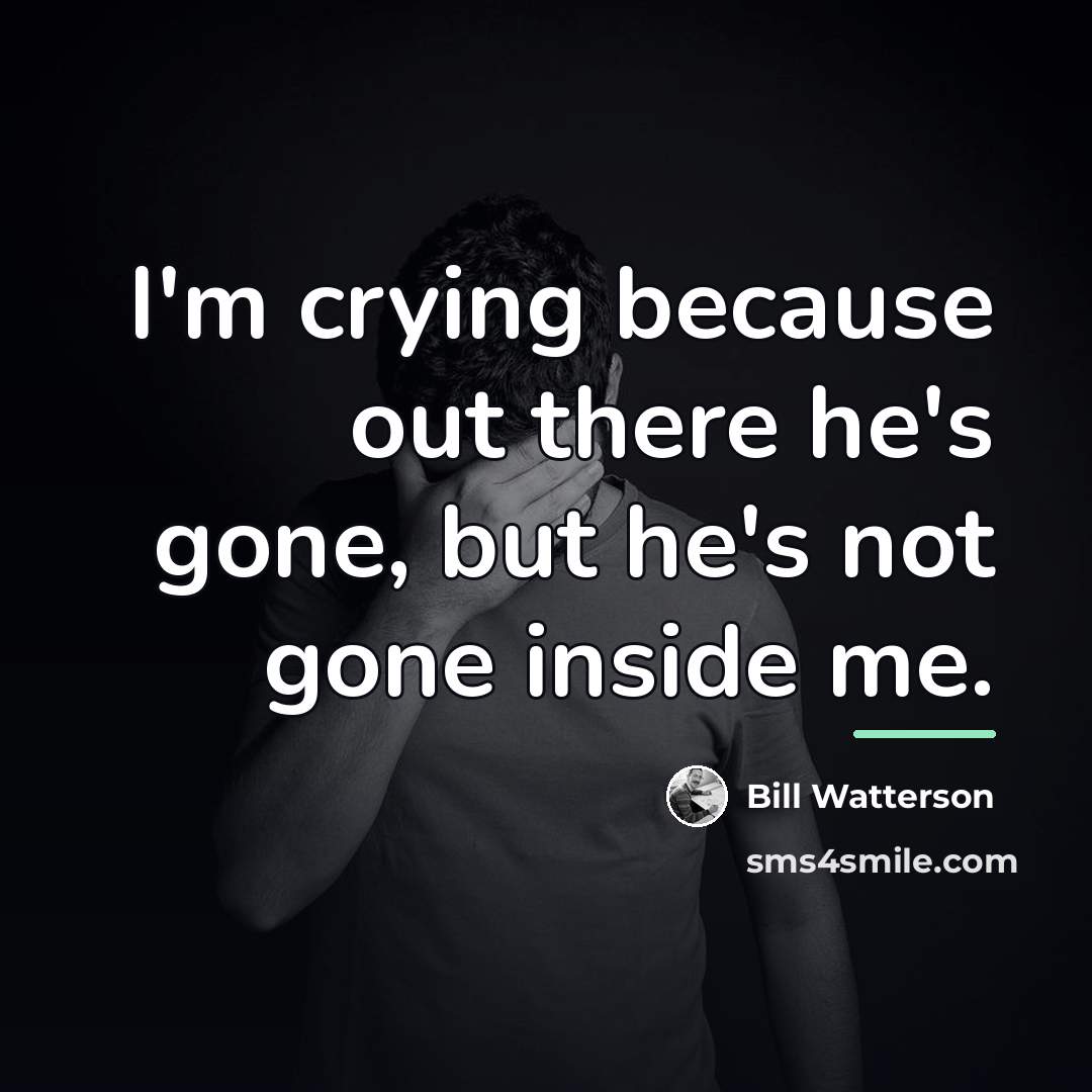 “I'm crying because out there he's gone, but he's not…” quote by Bill Watterson
