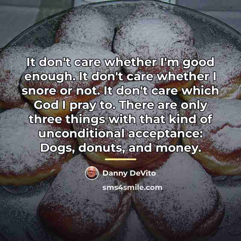 “It don't care whether I'm good enough. It don't care…” quote by Danny DeVito