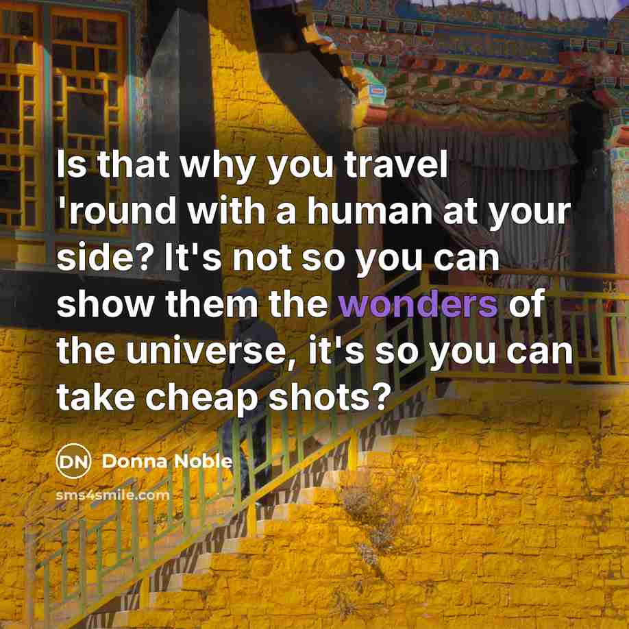 “Is that why you travel 'round with a human at your side? It's not so you can show them the wonders of the universe, it's so you can take cheap shots?” quote by Donna Noble