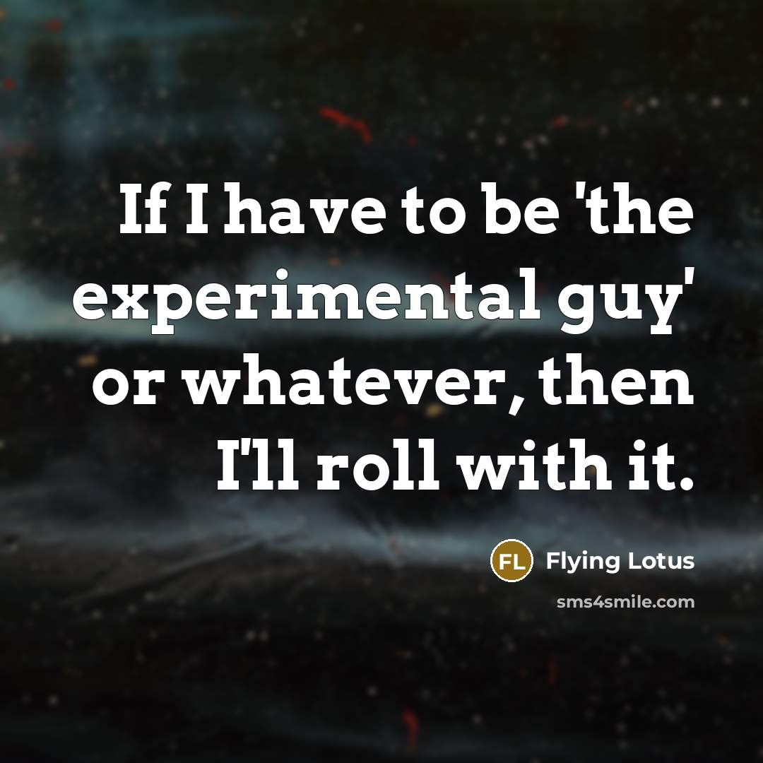 “If I have to be 'the experimental guy' or whatever,…” quote by Flying Lotus