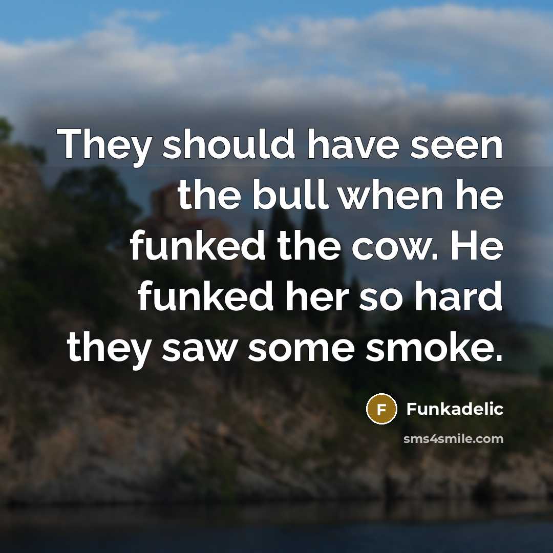 “They should have seen the bull when he funked the…” quote by Funkadelic