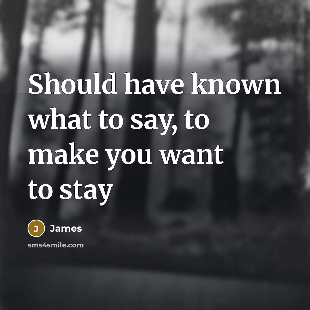 “Should have known what to say, to make you want…” quote by James