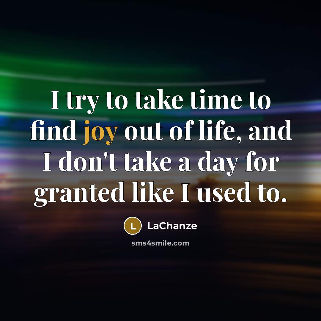 “I try to take time to find joy out of…” quote by LaChanze