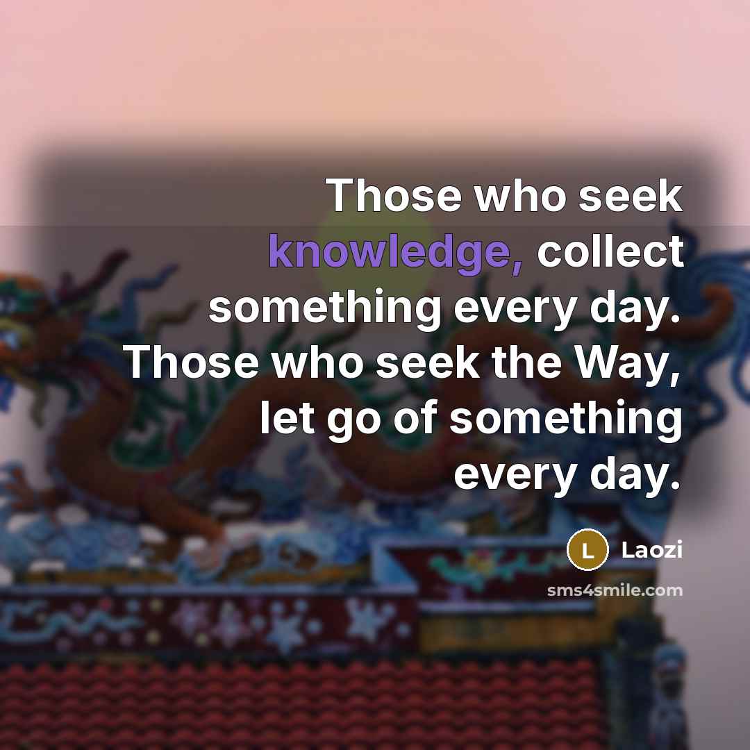 “Those who seek knowledge, collect something every day. Those who…” quote by Laozi