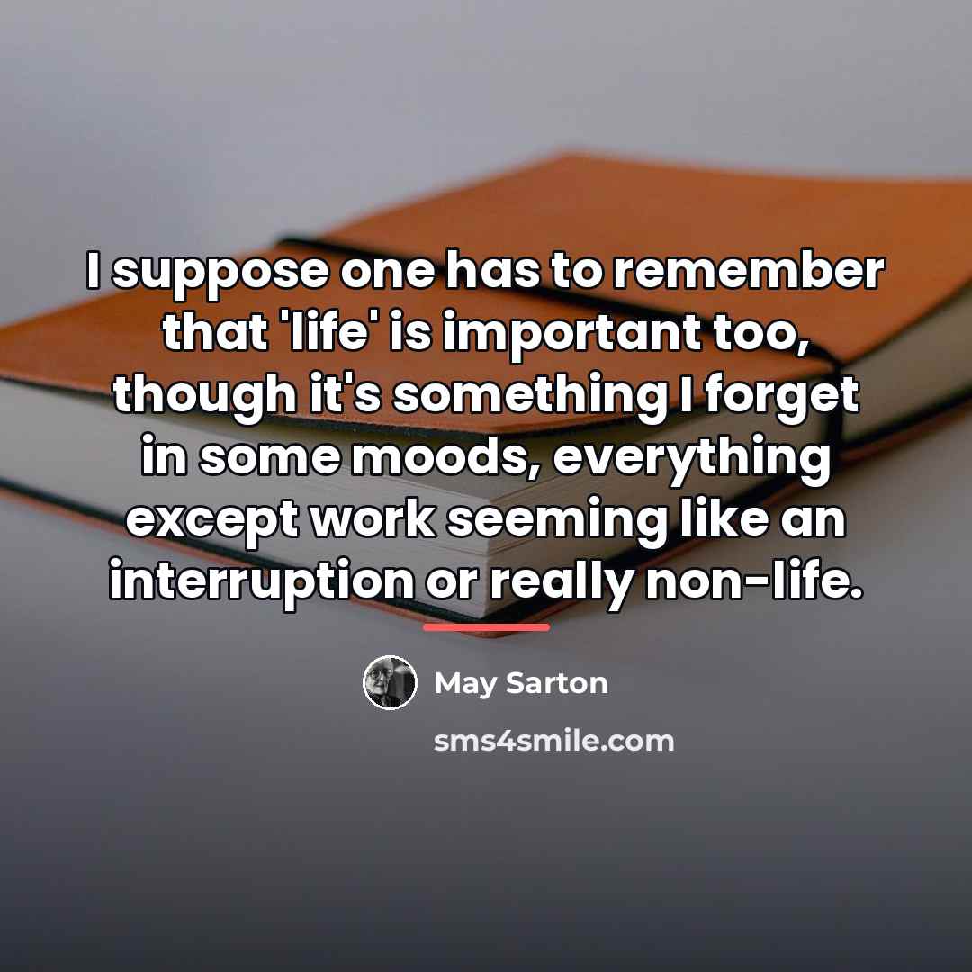 “I suppose one has to remember that 'life' is important…” quote by May Sarton