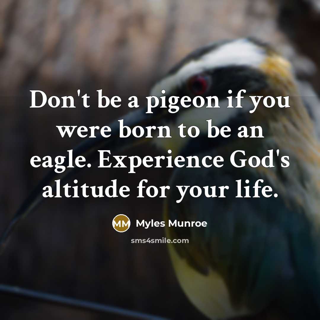 “Don't be a pigeon if you were born to be an eagle. Experience God's altitude for your life.” quote by Myles Munroe