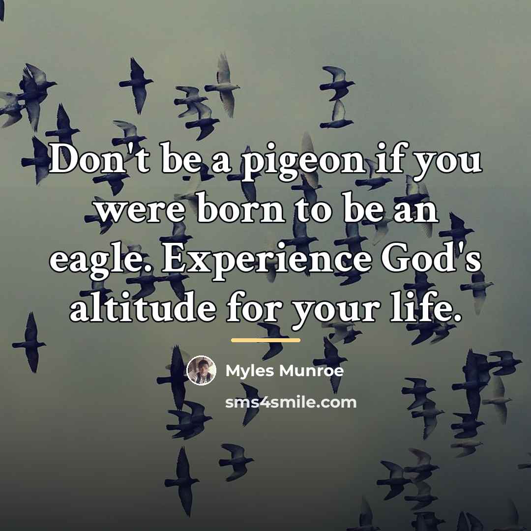 “Don't be a pigeon if you were born to be…” quote by Myles Munroe