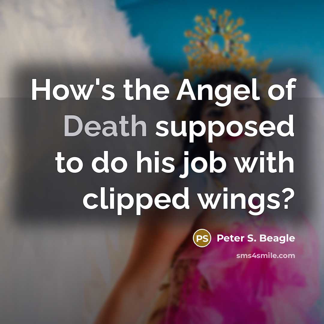 “How's the Angel of Death supposed to do his job…” quote by Peter S. Beagle