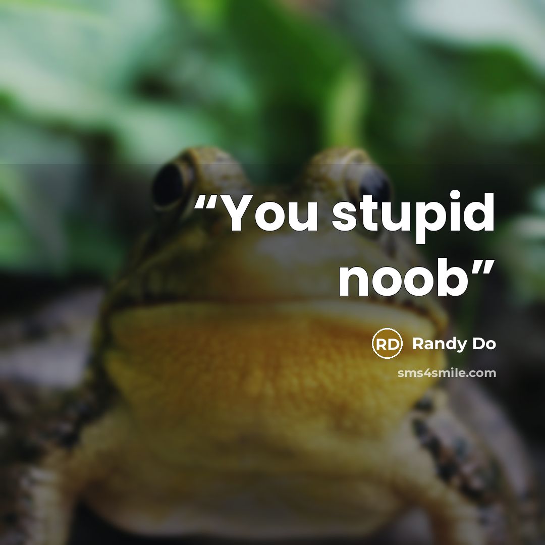 “You stupid noob” quote by Randy Do