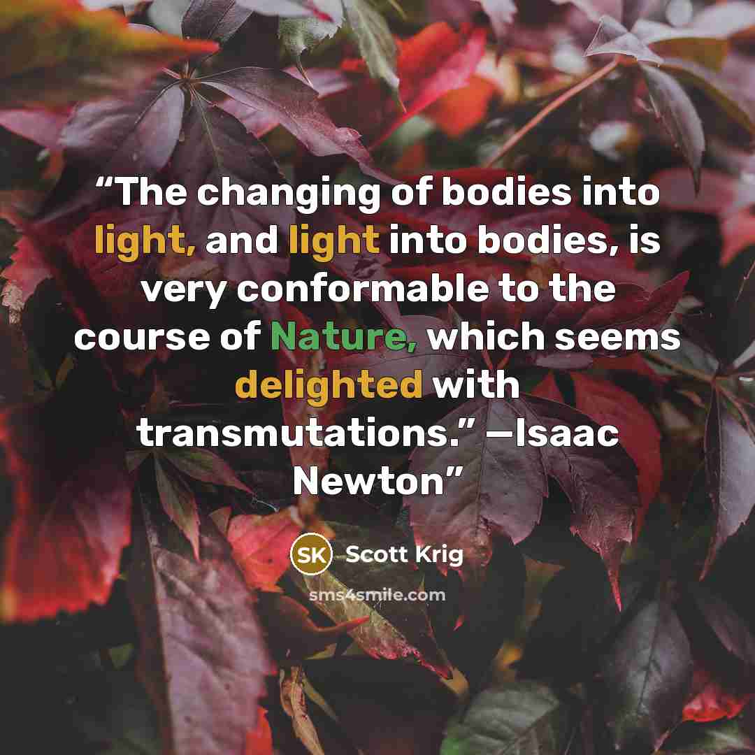 “The changing of bodies into light, and light into bodies, is very conformable to the course of Nature, which seems delighted with transmutations.” —Isaac Newton” quote by Scott Krig