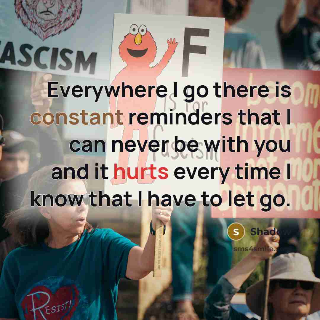 “Everywhere I go there is constant reminders that I can never be with you and it hurts every time I know that I have to let go.” quote by Shadow