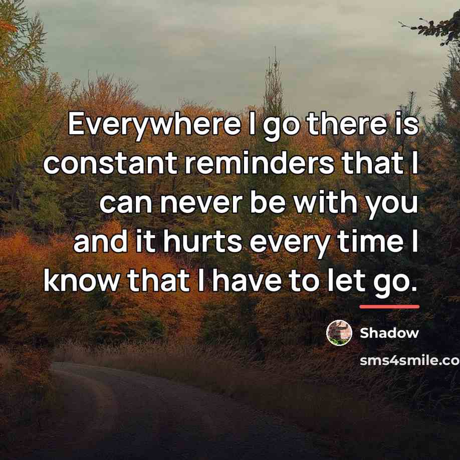 “Everywhere I go there is constant reminders that I can…” quote by Shadow