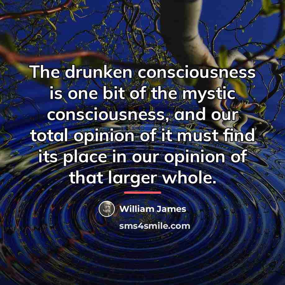 “The drunken consciousness is one bit of the mystic consciousness,…” quote by William James