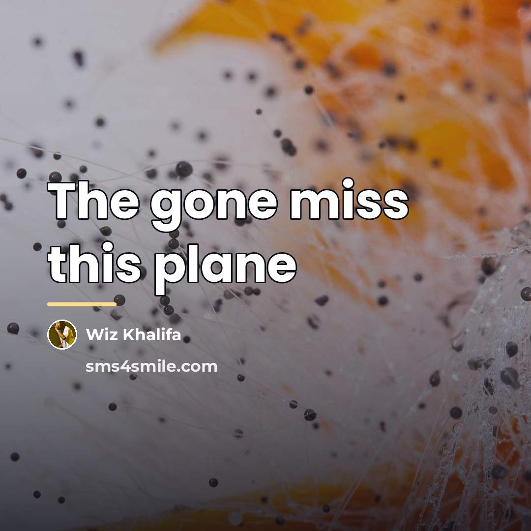 “The gone miss this plane…” quote by Wiz Khalifa