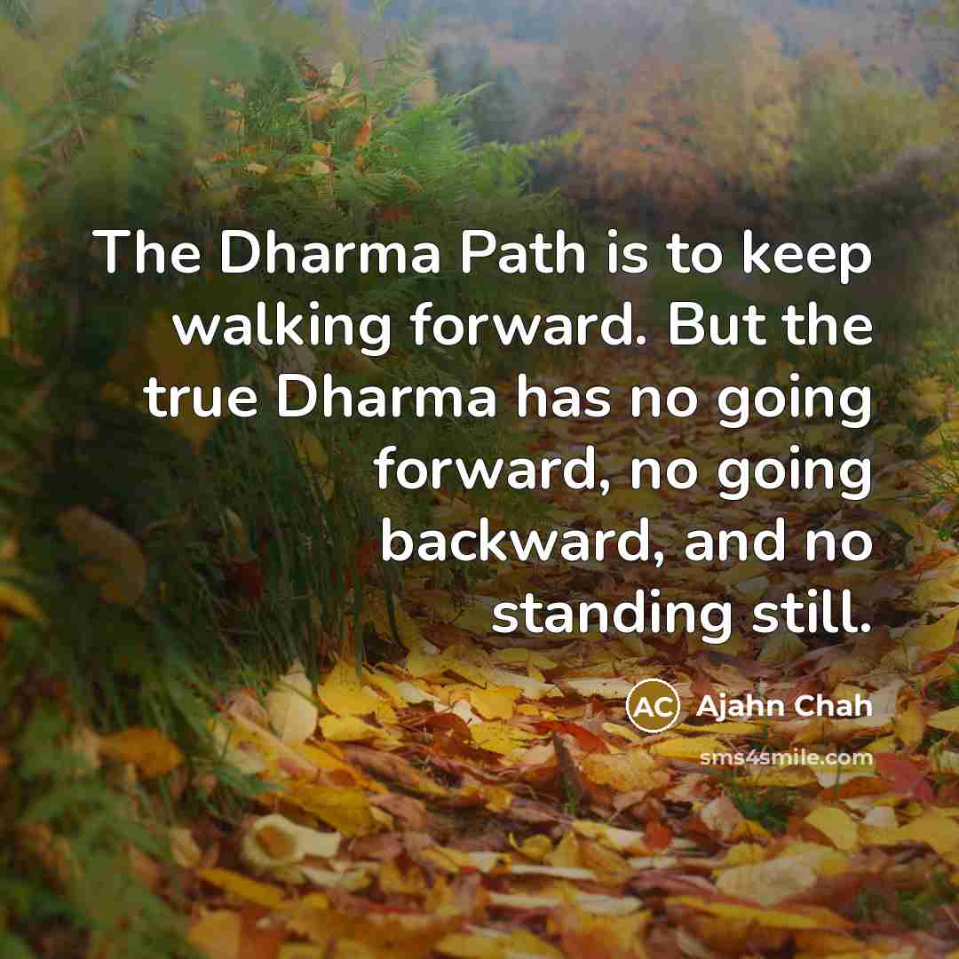 “The Dharma Path is to keep walking forward. But the…” quote by Ajahn Chah