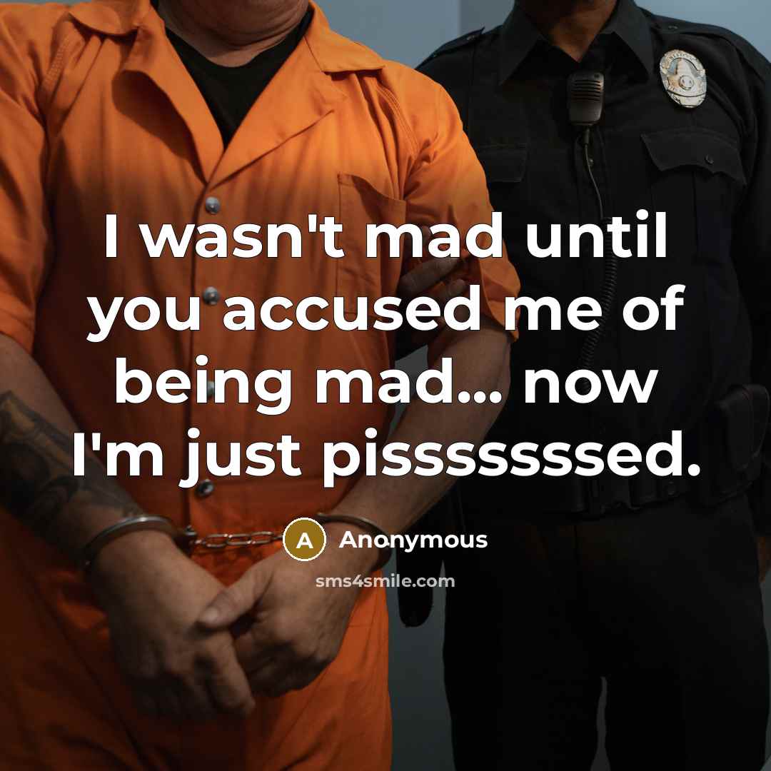 “I wasn't mad until you accused me of being mad...…” quote by Anonymous