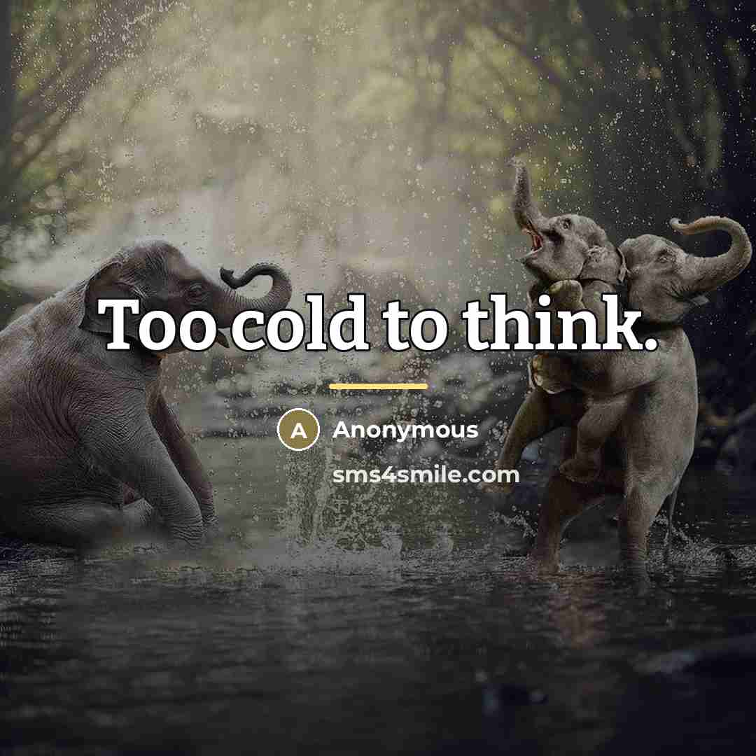 “Too cold to think.…” quote by Anonymous