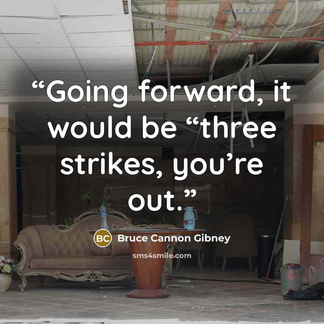 “Going forward, it would be “three strikes, you’re out.” quote by Bruce Cannon Gibney
