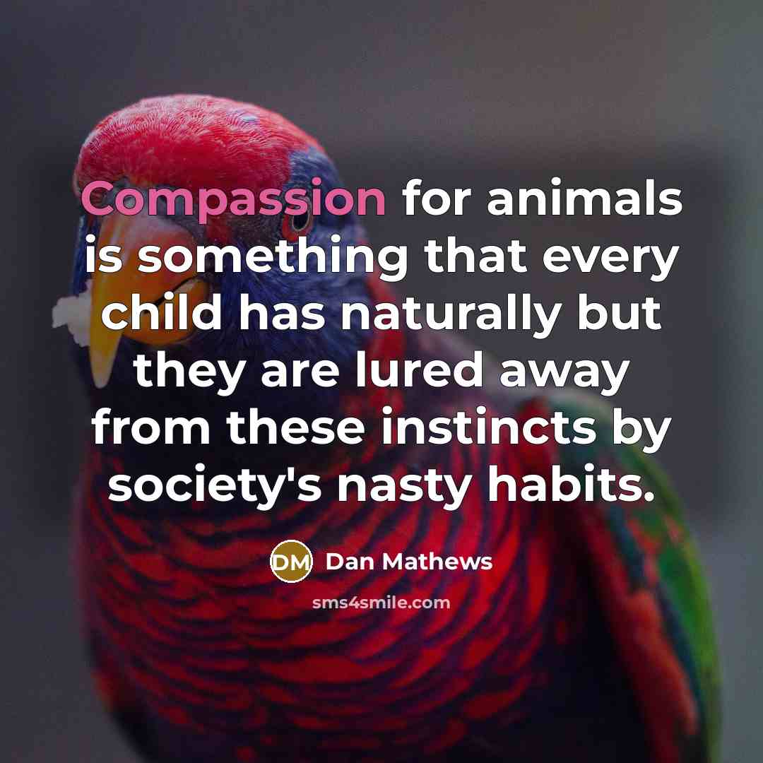 “Compassion for animals is something that every child has naturally…” quote by Dan Mathews