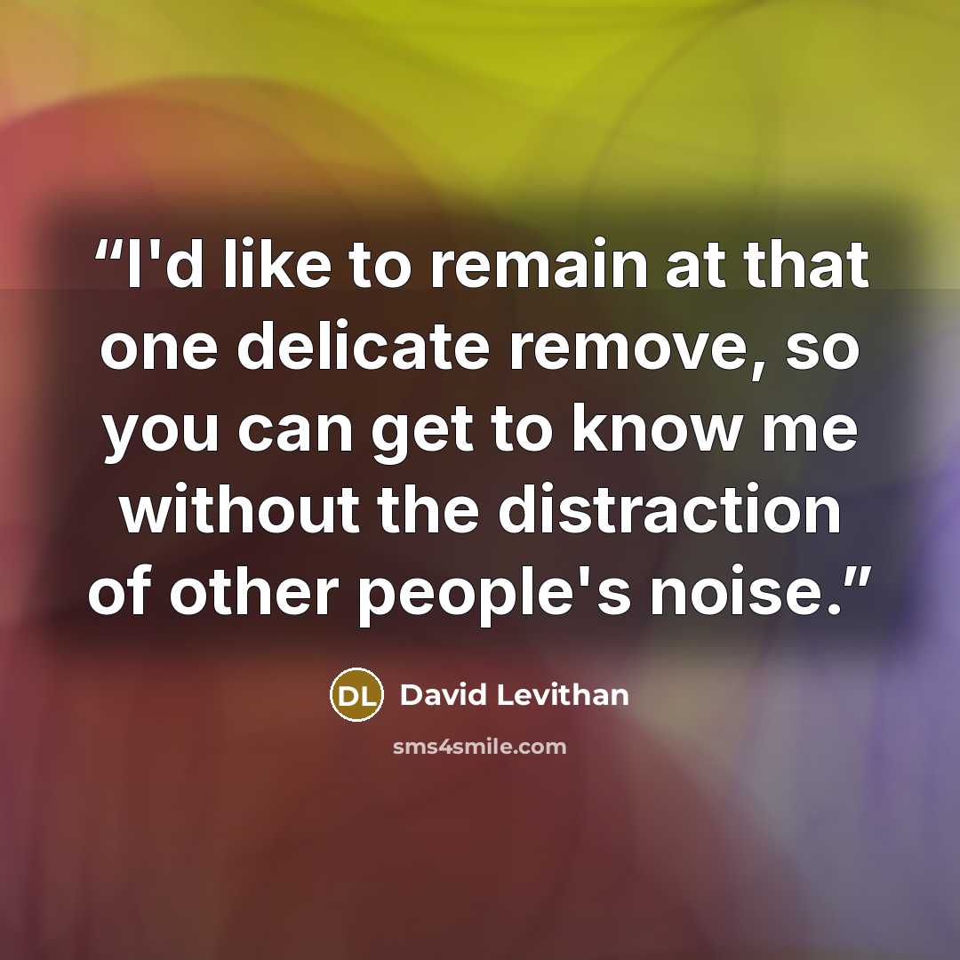 “I'd like to remain at that one delicate remove, so you can get to know me without the distraction of other people's noise.” quote by David Levithan