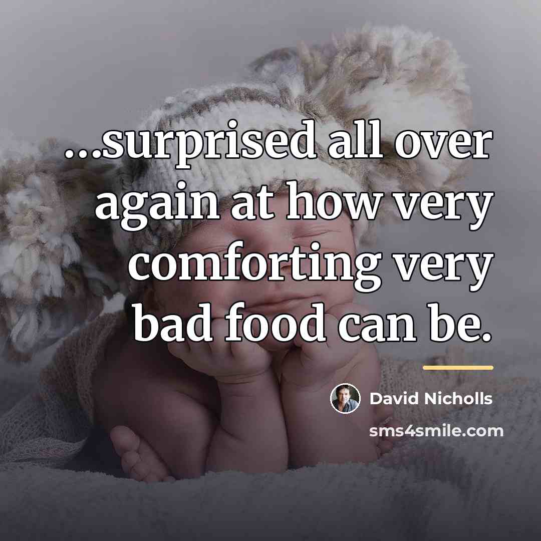 “surprised all over again at how very comforting very bad…” quote by David Nicholls