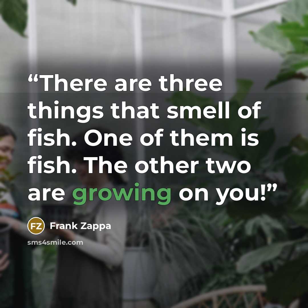 “There are three things that smell of fish. One of them is fish. The other two are growing on you!” quote by Frank Zappa