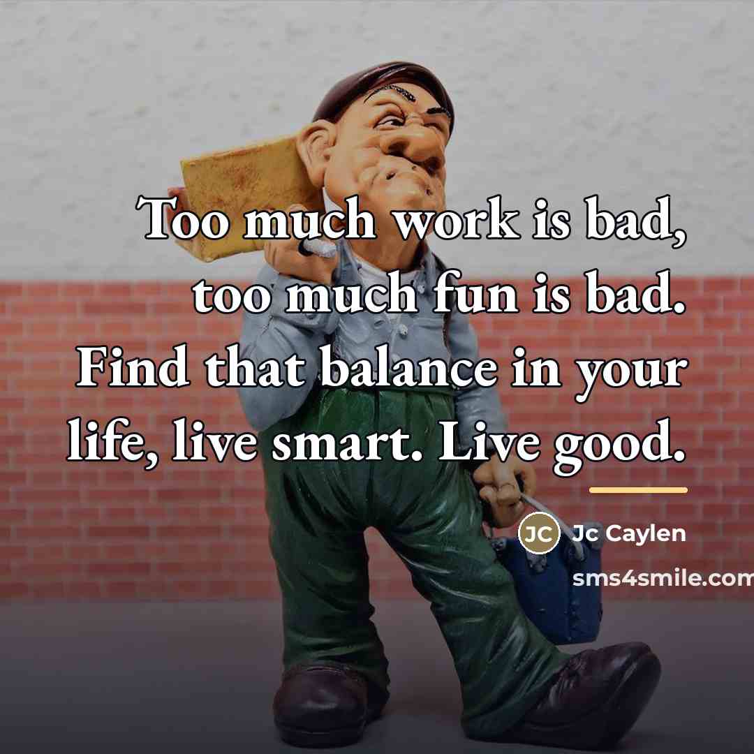 “Too much work is bad, too much fun is bad.…” quote by Jc Caylen