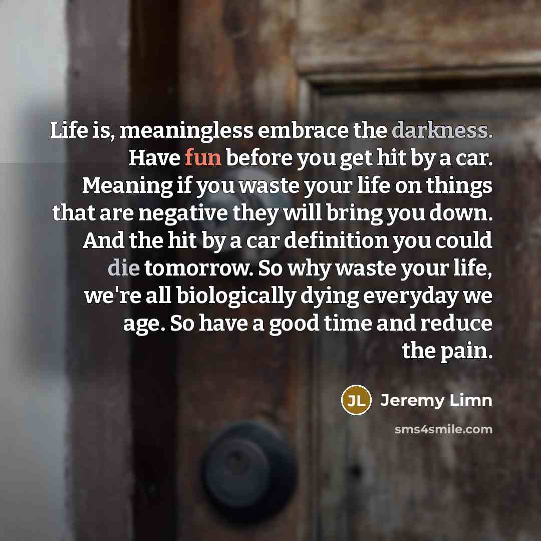 “Life is, meaningless embrace the darkness. Have fun before you…” quote by Jeremy Limn