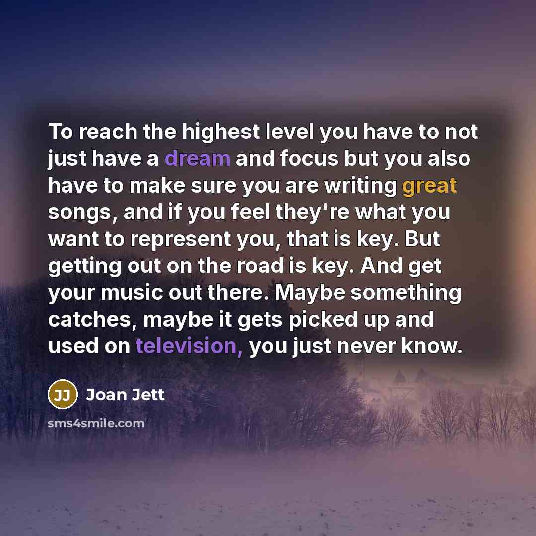 “To reach the highest level you have to not just…” quote by Joan Jett