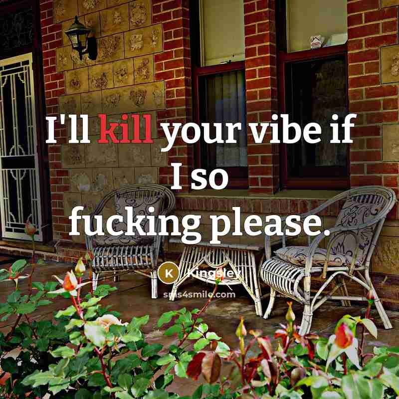 “I'll kill your vibe if I so fucking please.” quote by Kingsley