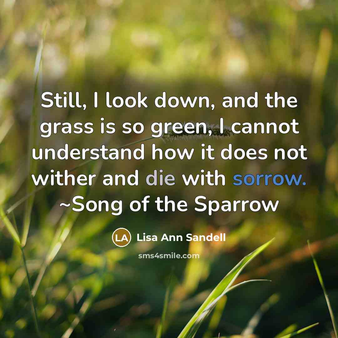 “Still, I look down, and the grass is so green,…” quote by Lisa Ann Sandell