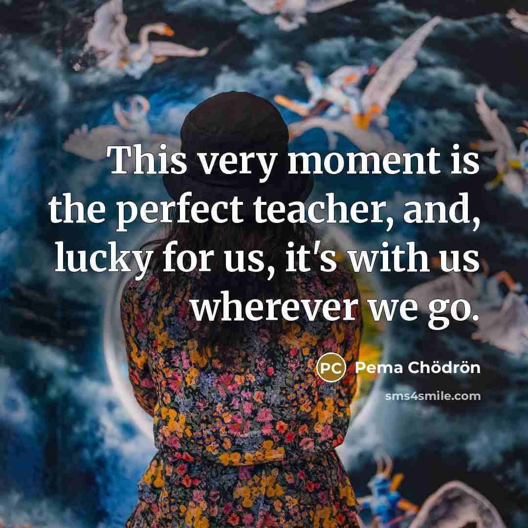 “This very moment is the perfect teacher, and, lucky for…” quote by Pema Chodron
