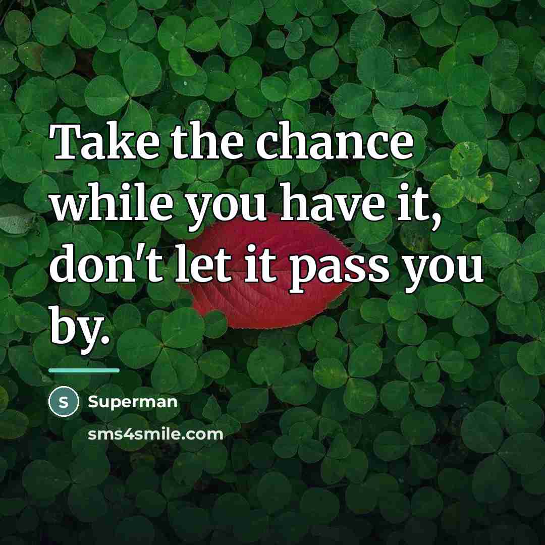 “Take the chance while you have it, don't let it…” quote by Superman