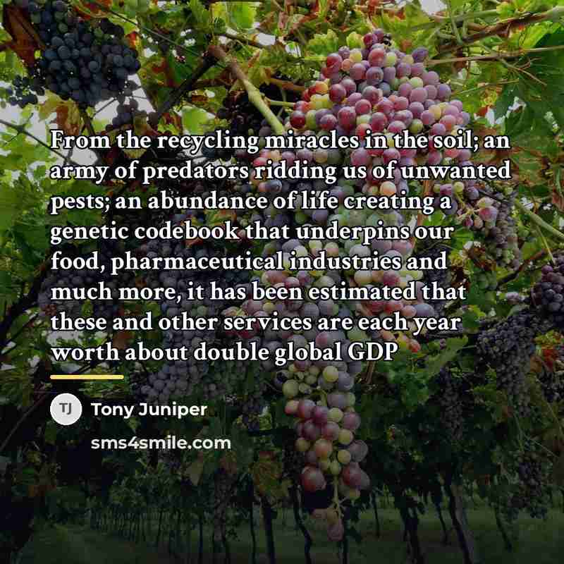 “From the recycling miracles in the soil; an army of…” quote by Tony Juniper