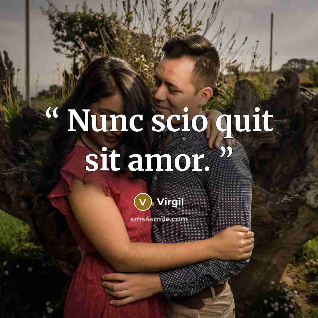 “Nunc scio quit sit amor.” quote by Virgil