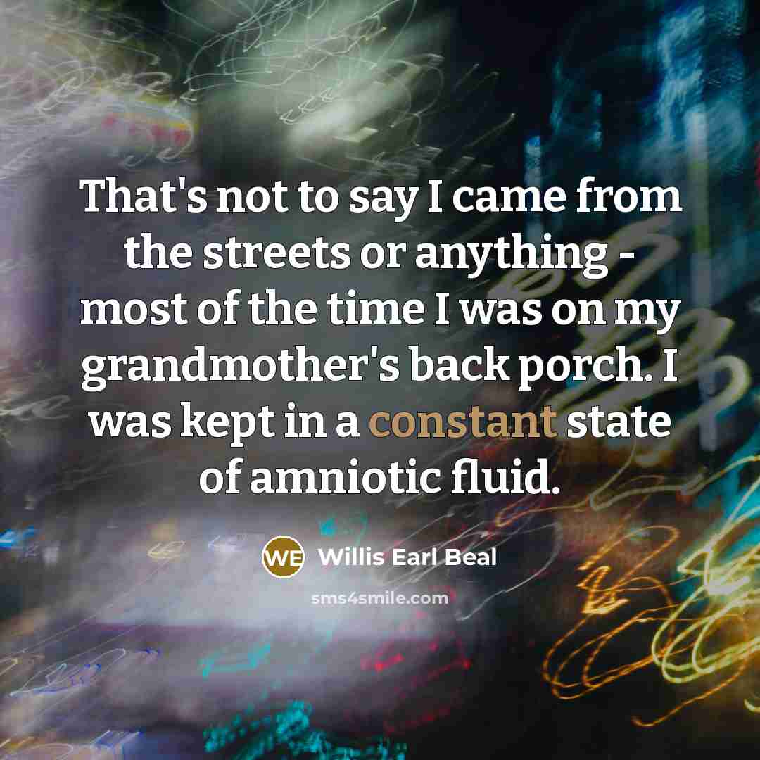“That's not to say I came from the streets or…” quote by Willis Earl Beal