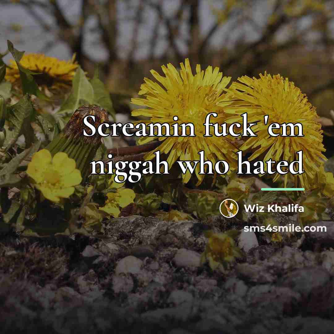 “Screamin fuck 'em niggah who hated…” quote by Wiz Khalifa