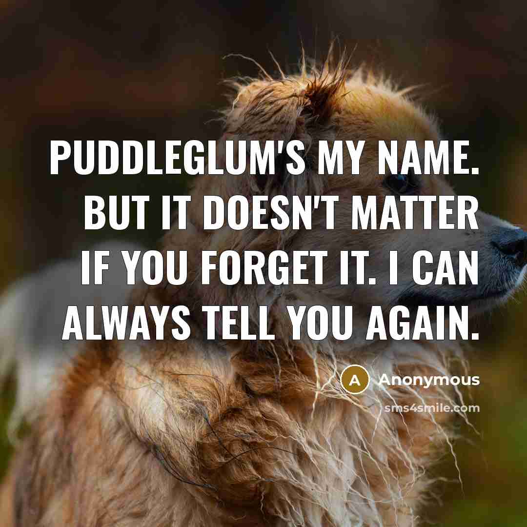 “Puddleglum's my name. But it doesn't matter if you forget…” quote by Anonymous