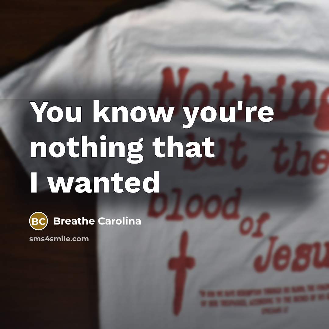 “You know you're nothing that I wanted…” quote by Breathe Carolina