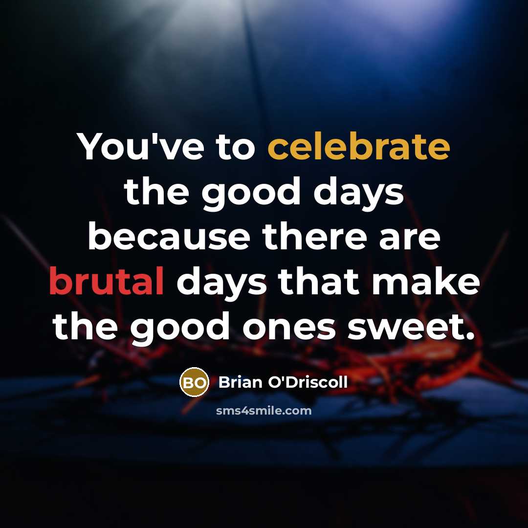 “You've to celebrate the good days because there are brutal…” quote by Brian O'Driscoll