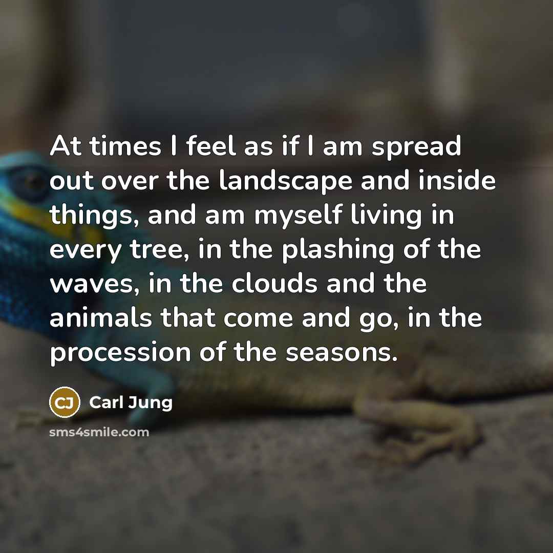 “At times I feel as if I am spread out…” quote by Carl Jung