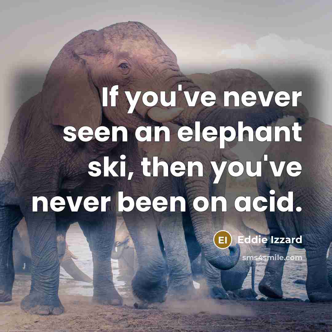 “If you've never seen an elephant ski, then you've never…” quote by Eddie Izzard
