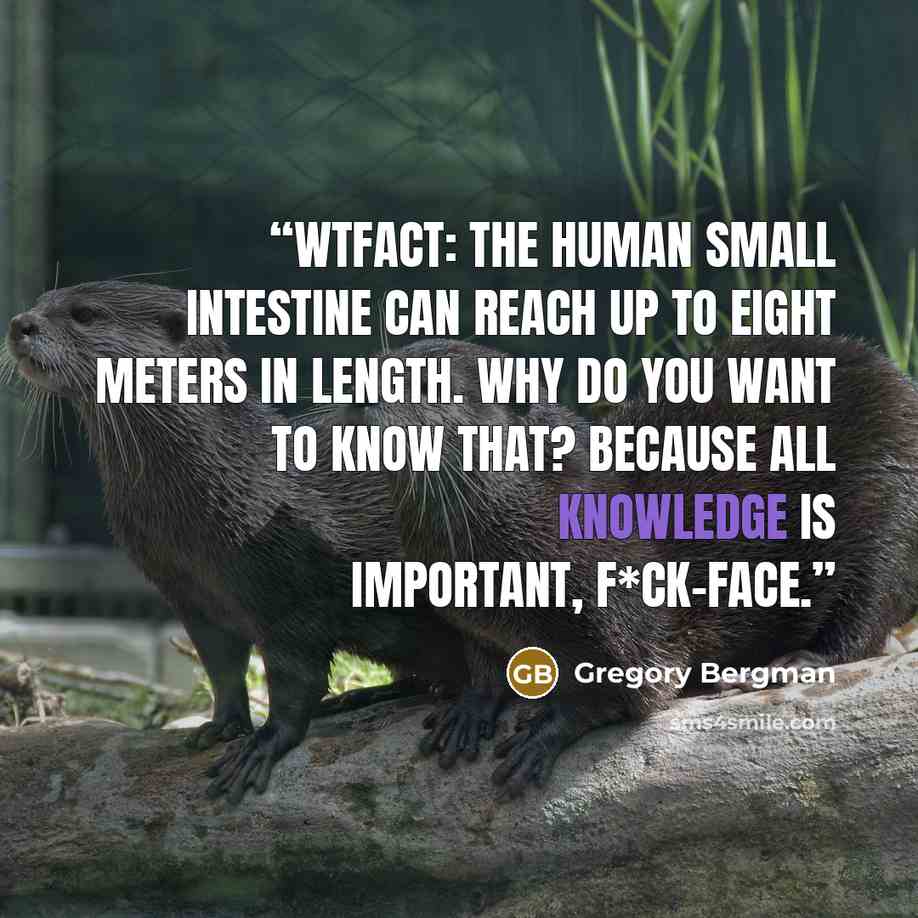 “WTFact: The human small intestine can reach up to eight meters in length. Why do you want to know that? Because all knowledge is important, f*ck-face.” quote by Gregory Bergman