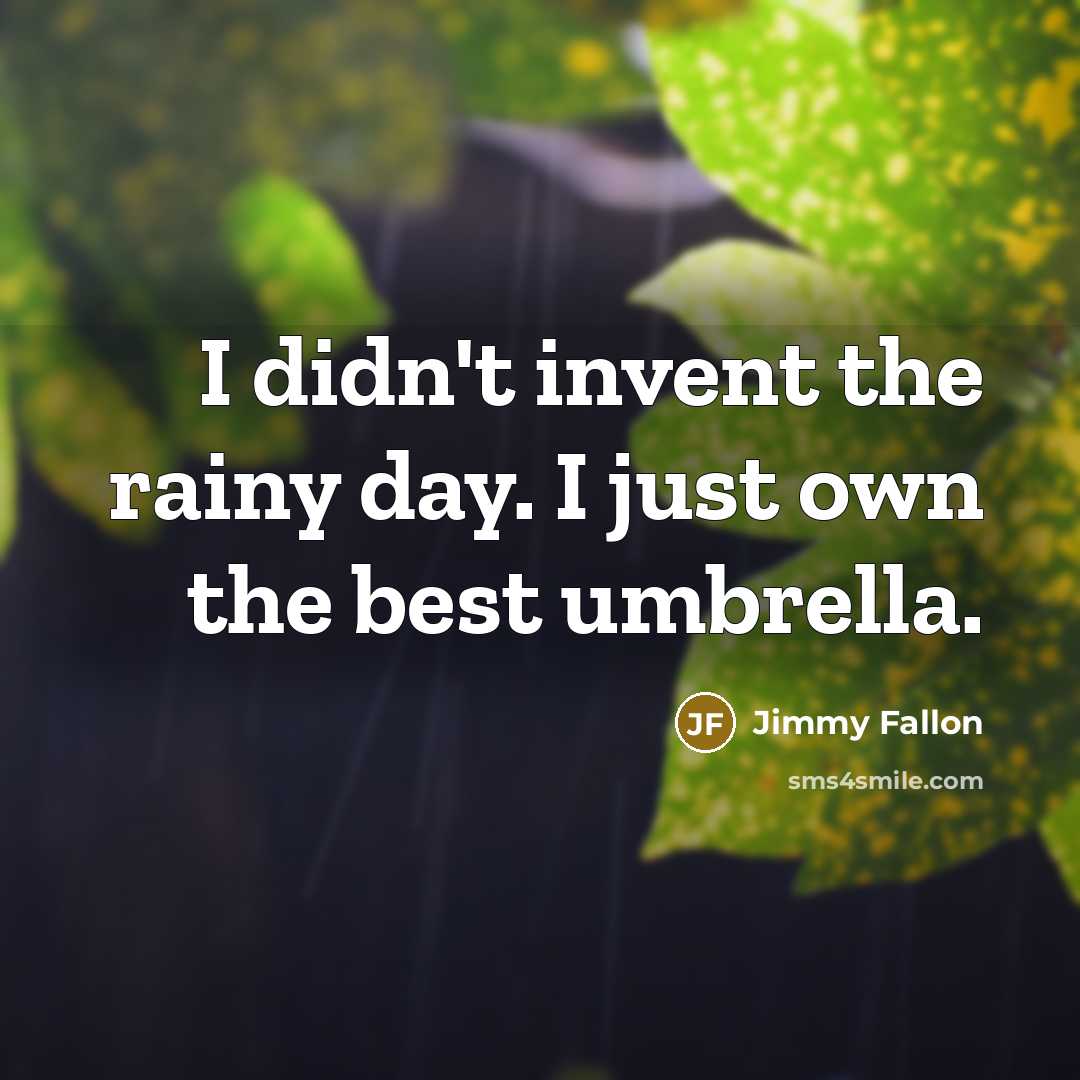 “I didn't invent the rainy day. I just own the…” quote by Jimmy Fallon