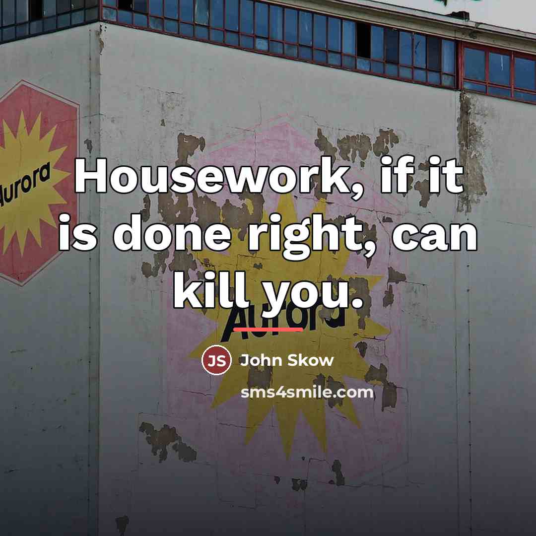 “Housework, if it is done right, can kill you.…” quote by John Skow