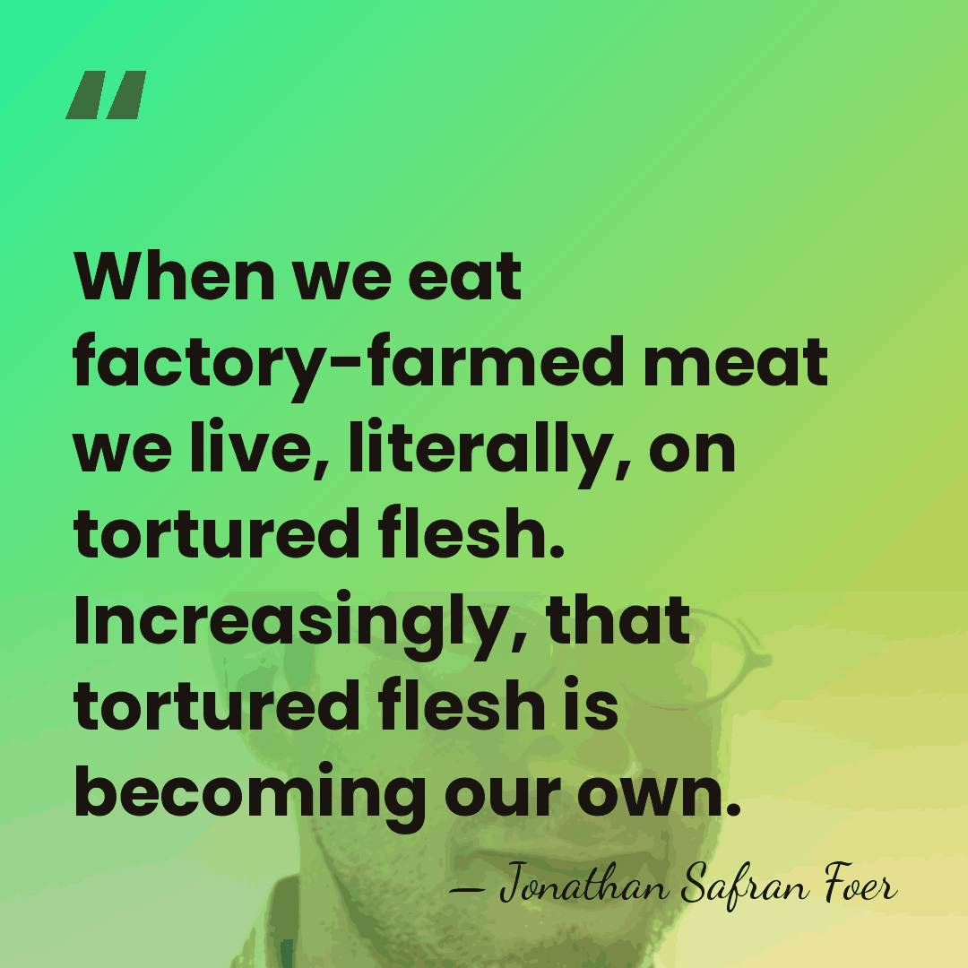 When we eat factory-farmed meat we live, literally, on tortured flesh. Increasingly,&hellip; - Jonathan Safran Foer