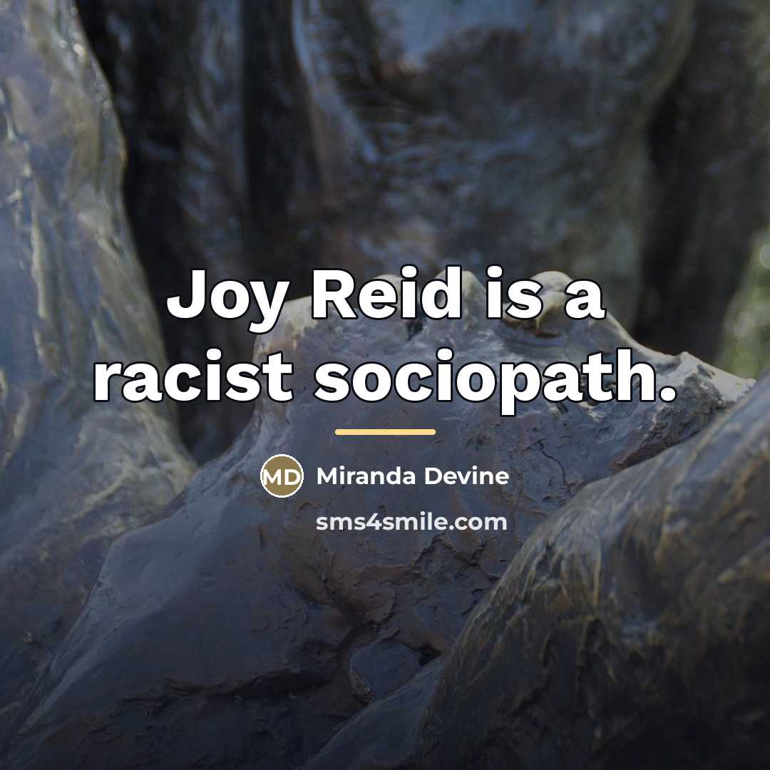 “Joy Reid is a racist sociopath.…” quote by Miranda Devine