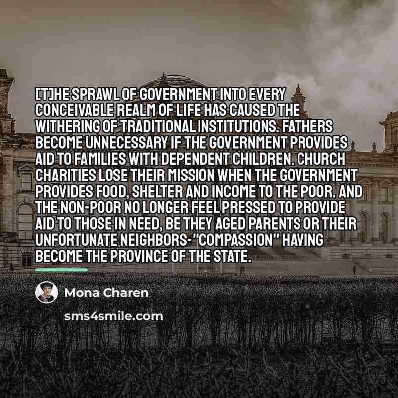“[T]he sprawl of government into every conceivable realm of life…” quote by Mona Charen